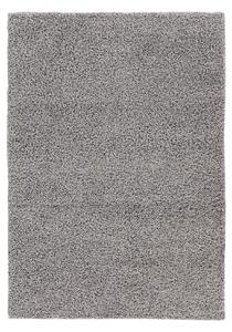 Obsession Kusový koberec My Twist 215 Silver - 80x150 cm