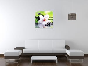 Obraz na plátne Biela orchidea a kamene Rozmery: 90 x 60 cm