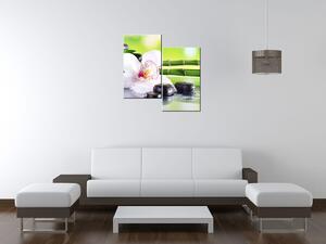 Obraz na plátne Biela orchidea a kamene - 2 dielny Rozmery: 80 x 70 cm