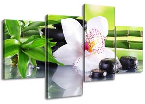 Obraz na plátne Biela orchidea a kamene - 4 dielny Veľkosť: 120 x 80 cm