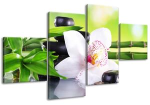 Obraz na plátne Biela orchidea a kamene - 4 dielny Rozmery: 100 x 70 cm