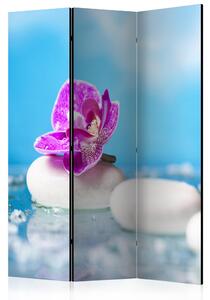 Artgeist Paraván - Pink Orchid and white Zen Stones [Room Dividers]