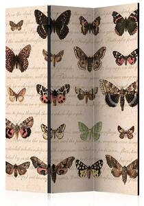 Artgeist Paraván - Retro Style: Butterflies [Room Dividers]