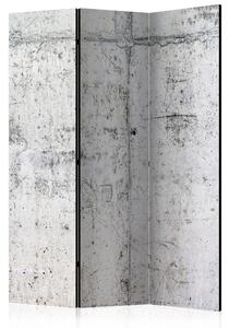 Artgeist Paraván - Concrete Wall [Room Dividers]