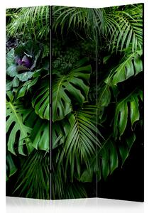 Artgeist Paraván - Rainforest [Room Dividers]