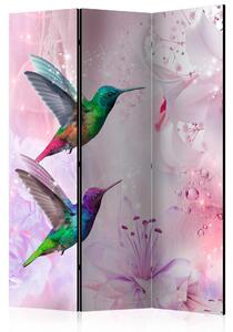 Artgeist Paraván - Colourful Hummingbirds [Room Dividers]