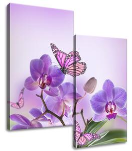 Gario 2 dielny obraz na plátne Jemný motýľ Veľkosť: 80 x 70 cm