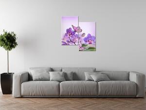 Gario 2 dielny obraz na plátne Jemný motýľ Veľkosť: 80 x 70 cm