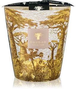 Baobab Collection Sacred Trees Bounkani vonná sviečka 1100 g