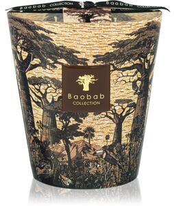 Baobab Collection Sacred Trees Mankono vonná sviečka 1100 g