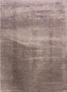 BE Koberec Microsofty 8301 BROWN – hnedý obdĺžnikový Rozmer: 80x150 cm
