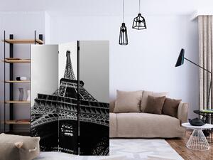 Artgeist Paraván - Paris Giant [Room Dividers]