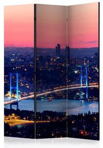 Artgeist Paraván - Bosphorus Bridge [Room Dividers]