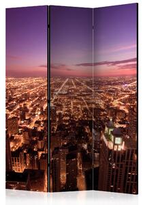 Artgeist Paraván - Chicago Panorama [Room Dividers]