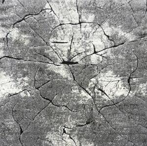 BE Koberec Miami 129 GREY Kwadrad – sivý štvorcový Rozmer: 140x140 cm