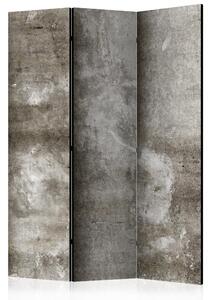 Artgeist Paraván - Cold Concrete [Room Dividers]