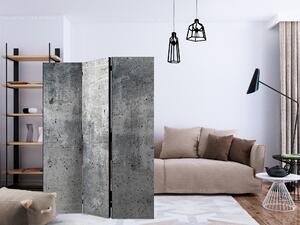 Artgeist Paraván - Fresh Concrete [Room Dividers]
