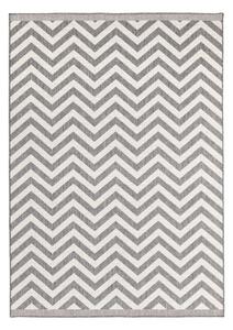 NORTHRUGS - Hanse Home koberce Kusový koberec Twin Supreme 103432 Palma grey creme - 80x150 cm