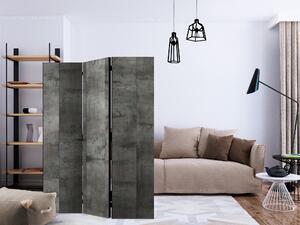 Artgeist Paraván - Steel design [Room Dividers]