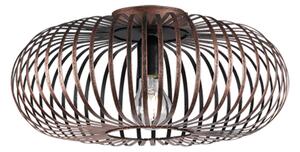TRIO 606900162 Johann stropné svietidlo E27 1x60W