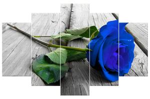 Gario 5 dielny obraz na plátne Nádherná modrá ruža na móle Veľkosť: 100 x 63 cm