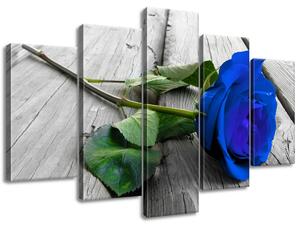 Gario 5 dielny obraz na plátne Nádherná modrá ruža na móle Veľkosť: 100 x 63 cm