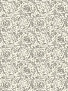 A.S. Création | Vliesová tapeta na stenu Versace 6 79135-3 | 0,53 x 10,05 m | biela, šedá