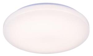 LED Stmievateľné stropné svietidlo s hlasovým ovládaním OPAL LED/48W/230V + DO