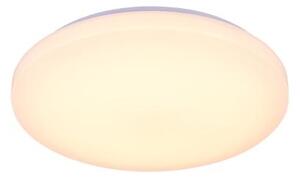 LED Stmievateľné stropné svietidlo s hlasovým ovládaním OPAL LED/48W/230V + DO