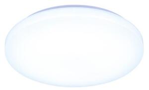 LED Stmievateľné stropné svietidlo s hlasovým ovládaním OPAL LED/48W/230V + DO