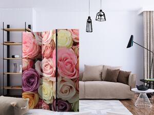 Artgeist Paraván - Pastel roses [Room Dividers]