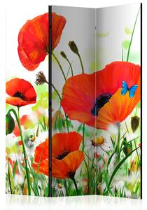 Artgeist Paraván - Country poppies [Room Dividers]