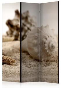 Artgeist Paraván - Beach and shell [Room Dividers]