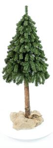 Vianočný stromček- Smrek prírodný na dreve 70 cm