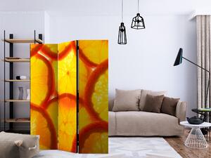 Artgeist Paraván - Orange slices [Room Dividers]