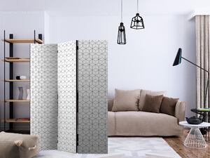 Artgeist Paraván - Cubes - texture [Room Dividers]