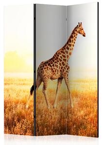 Artgeist Paraván - giraffe - walk [Room Dividers]