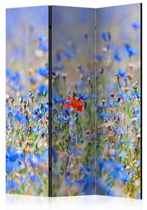 Artgeist Paraván - A sky-colored meadow - cornflowers [Room Dividers]