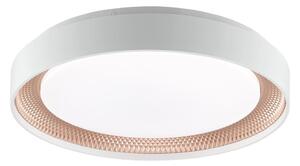 Brilliant - LED stmievateľné stropné svietidlo WALDO LED/24W/230V biela/ružovo-zlatá + DO