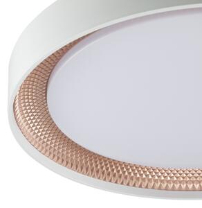 Brilliant - LED stmievateľné stropné svietidlo WALDO LED/24W/230V biela/ružovo-zlatá + DO