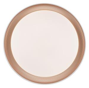Brilliant - LED stmievateľné stropné svietidlo WALDO LED/24W/230V biela/ružovo-zlatá + DO