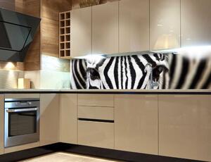 DIMEX | Fototapeta do kuchyne Zebra KI-180-016 | 180 x 60 cm | čiernobiela