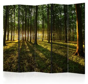 Artgeist Paraván - Morning in the Forest II [Room Dividers]