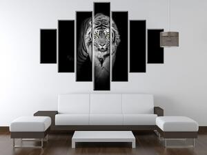 Obraz na plátne Nebezpečný tiger v tme - 7 dielny Rozmery: 140 x 80 cm