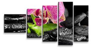 Sablio Obraz - 5-dílný Orchidea na kameňoch - 100x60 cm