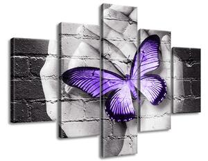 Gario 5 dielny obraz na plátne Fialový motýľ na dlaniach Veľkosť: 100 x 70 cm