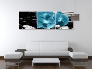 Gario 3 dielny obraz na plátne Tyrkysová orchidea a kamene Veľkosť: 120 x 40 cm