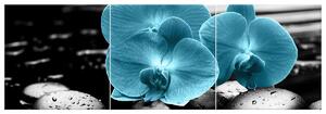Gario 3 dielny obraz na plátne Tyrkysová orchidea a kamene Veľkosť: 120 x 40 cm