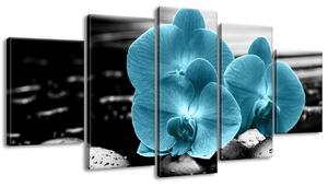 Gario 5 dielny obraz na plátne Tyrkysová orchidea a kamene Veľkosť: 150 x 70 cm
