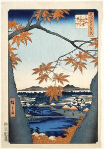 Obrazová reprodukcia Maples leaves at Mama, Hiroshige Utagawa